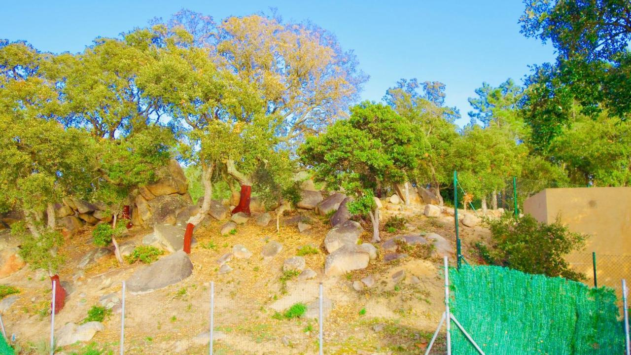 Luxury Villa Investingspain With Sea Views, Pool And Jacuzzi Lloret de Mar Exterior foto